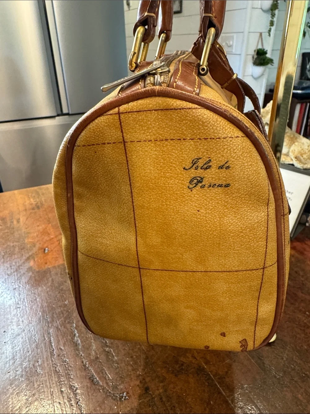 Alviero Martini this bag